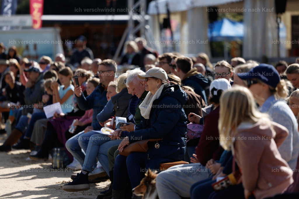 _AM19260 | working equitationturnier fotograf videograf stoibphotography marixx film working equitation deutschland reitsport turnierfotografie eventfotografie equestrian events