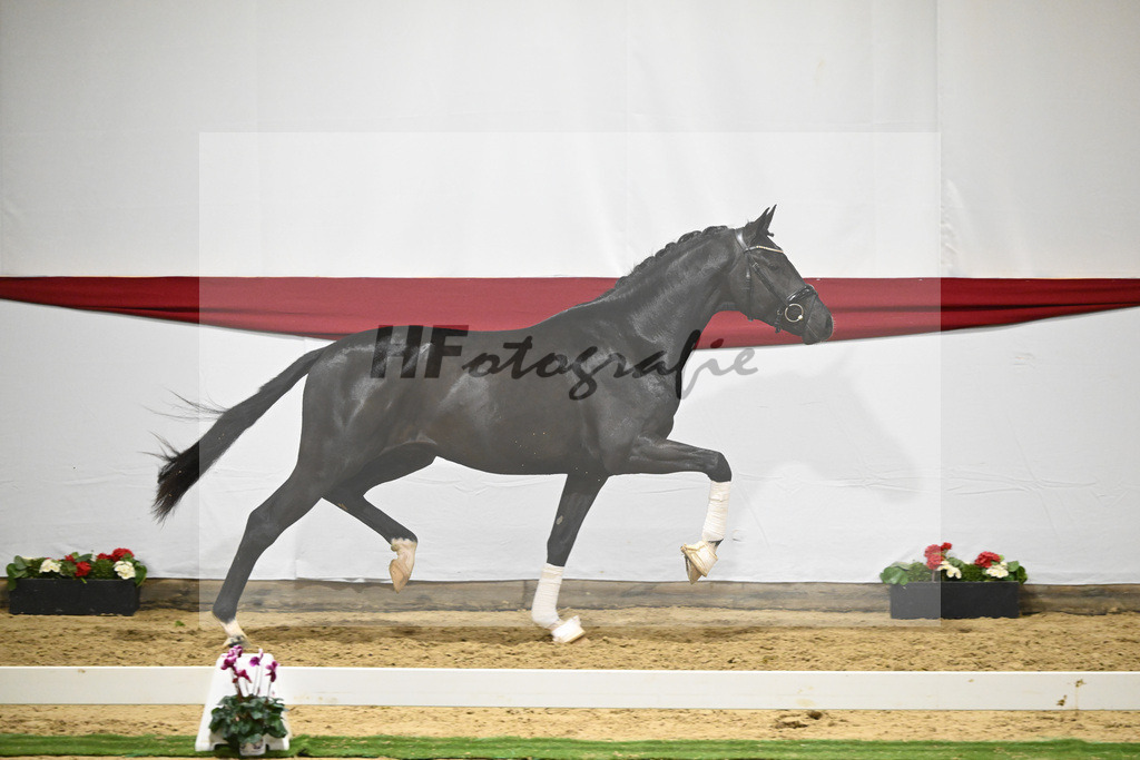 Kat-Nr. 69 v. Secret_Reich_63222071 | hf-fotografie - Realizzato con Pictrs.com