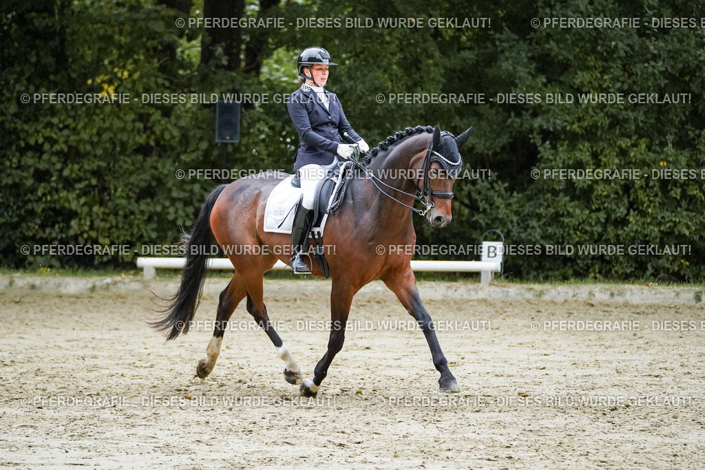 DSC00278 | Pferdegrafie