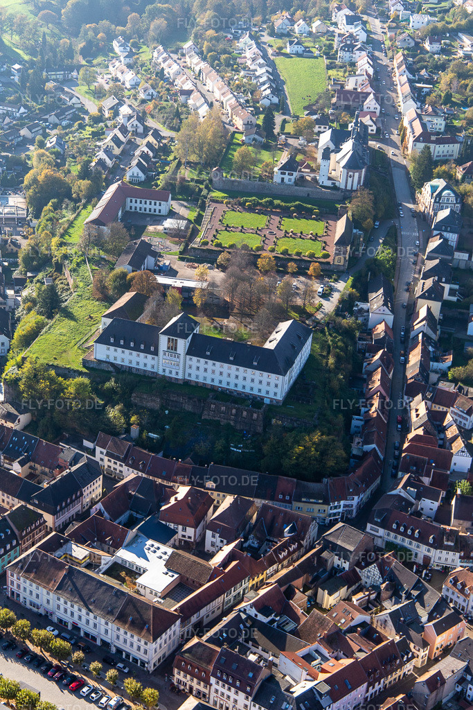 Luftbild: St. Anna und St. Philipp (Schlosskirche), Orangerie und Barockschloß über der Stadt in Blieskastel im Bundesland Saarland in Deutschland. Foto: IMG_143989.jpg vom 27.10.2024 durch Werner Riehm/FLY-FOTO.de