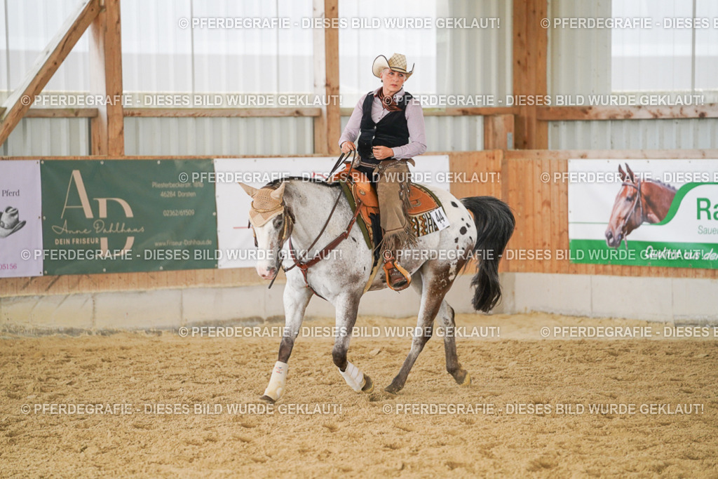 DSC01934 | Pferdegrafie