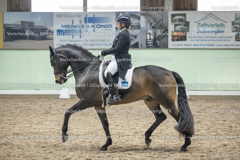 _D5A6110 | Emotionale Pferde- & People-Fotografie rund um Heidelberg, Leimen & Umgebung. Natürliche Fotos von Pferd, Mensch & Familie. Jetzt Termin sichern!