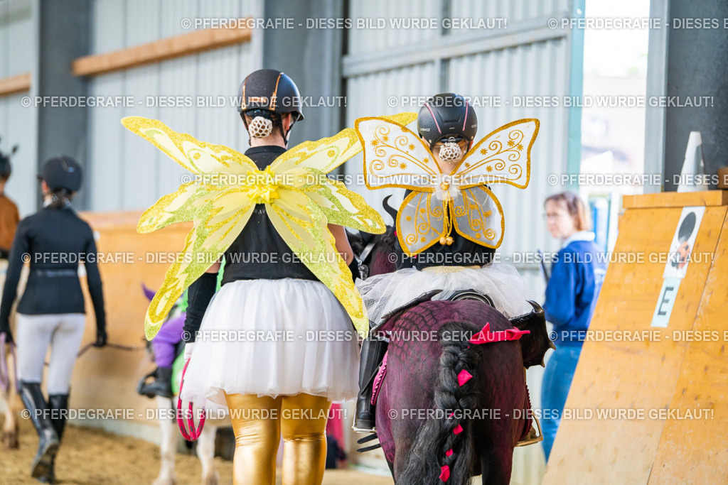 DSC09825 | Pferdegrafie