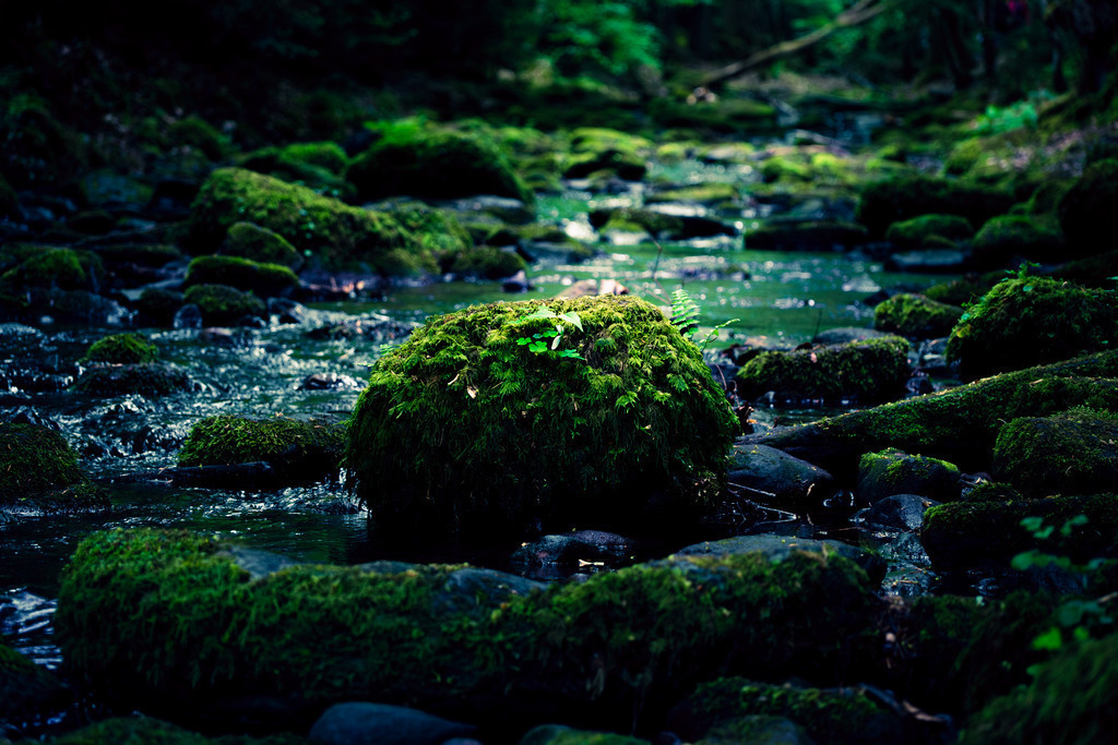 DSCF5680-1 | Tier- & Landschaftsfotografie und Porträtshootings. Entdecke einzigartige Fotokunst als Wandbild, Tasse oder Mauspad – mit Leidenschaft fotografiert - Realisiert mit Pictrs.com