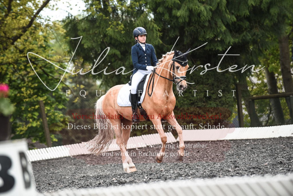 20230514_JK-Röhrsdorf-24-389 | Pferde- und Turnierfotografie in Westsachsen. Pferdeportraits, Auftragszeichnungen und intuitive Kunst.