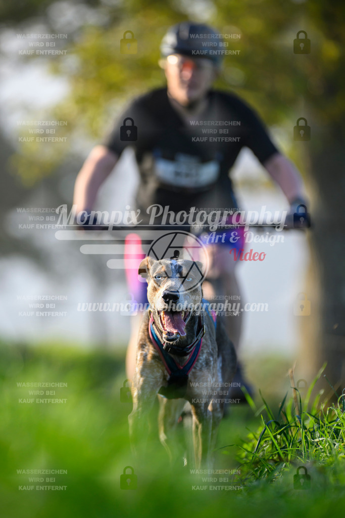 MompixPhotography_20TSB_E3_Bike-176 | PayLife