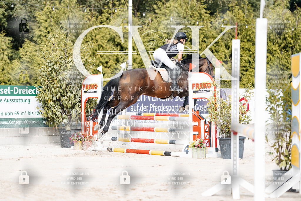 CK908833 | Turnierfotografie Pferdefotografie Trier Rheinland-Pfalz Pferdesport Reitsport Tierfotografie Sportfotografie Pferdevideo Pferdevideografie Equestrianvideography equestrianphotography  - Realisiert mit Pictrs.com