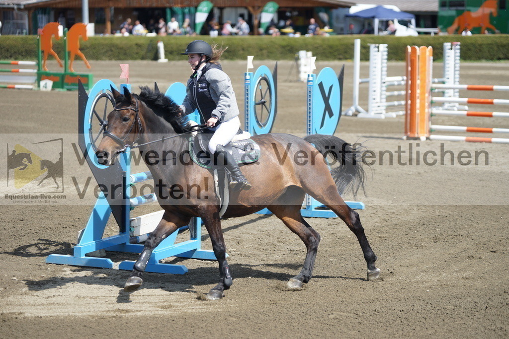 DSC02795 | equestrian-live-com