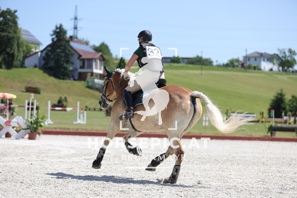 0P6A3776 | Willkommen bei Brunnmayr - Design & Fotografie – Ihrem Spezialisten für Reitturniere und Pferdeveranstaltungen in Oberösterreich, Salzburg und Bayern! Seit über 17 Jahren sind wir leidenschaftlich dabei.