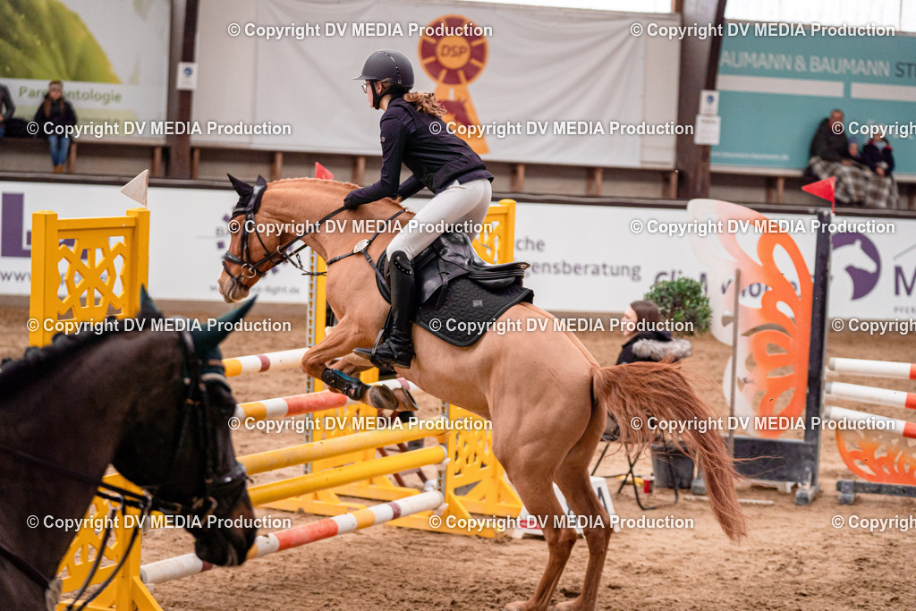 Kranichstein Tag 3-338 | dv-media-shop - Realisiert mit Pictrs.com