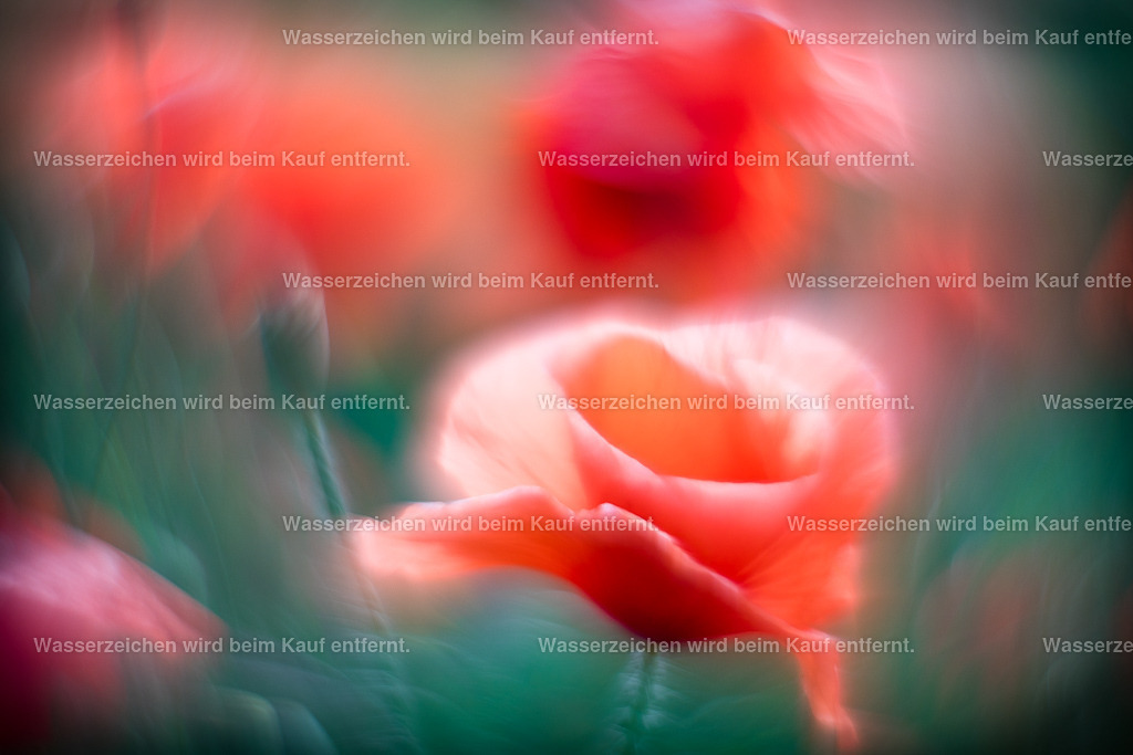 Wunschkraft | Die Botschaft zum Bild lautet: Eine starke Manifestationskraft, Wunschkraft geht hier aus. Doch sie fordert dich auf, genau hin zu schauen, was du dir wünschst. Ist es, um einen Mangel zu beheben oder um deine Freude zu fördern? Das ist essenziell, damit deine Wünsche wahr werden im Leben. Gib dich dieser Energie hin und du wirst erkennen, welche Wünsche aus deinem Herzen kommen. Und jetzt fordern wir dich auf zu träumen, wie ein Kind.