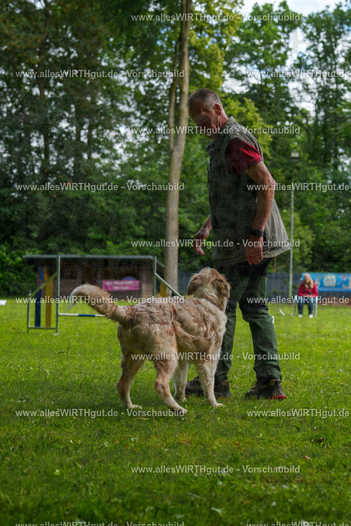 @allesWIRTHgut_Tierfotografie - www.allesWIRTHgut.de - 100009-7R507933 | Professionelle Tierfotografie in Mönchengladbach von Daniel Wirth (allesWIRTHgut). Liebevolle & natürliche Bilder von Hunden & Katzen für unvergessliche Erinnerungen.
