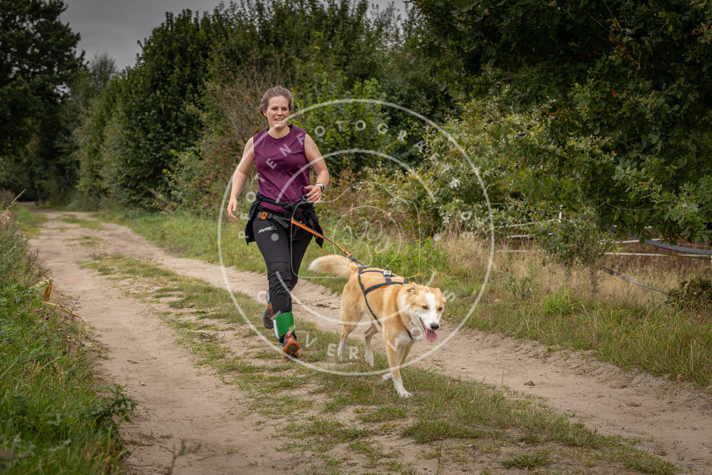 Pfotenfotografie_DV3A6553 | Hundefotografie, Tierfotograf, Pfotenfotografie, Fotoshooting Hund, Hunde Portrait, Hundesport, Hundeportraits, Heideshooting, Hunde, Sportfotograf, Hundefotograf, Turnierhundsport, THS,  - Realisiert mit Pictrs.com