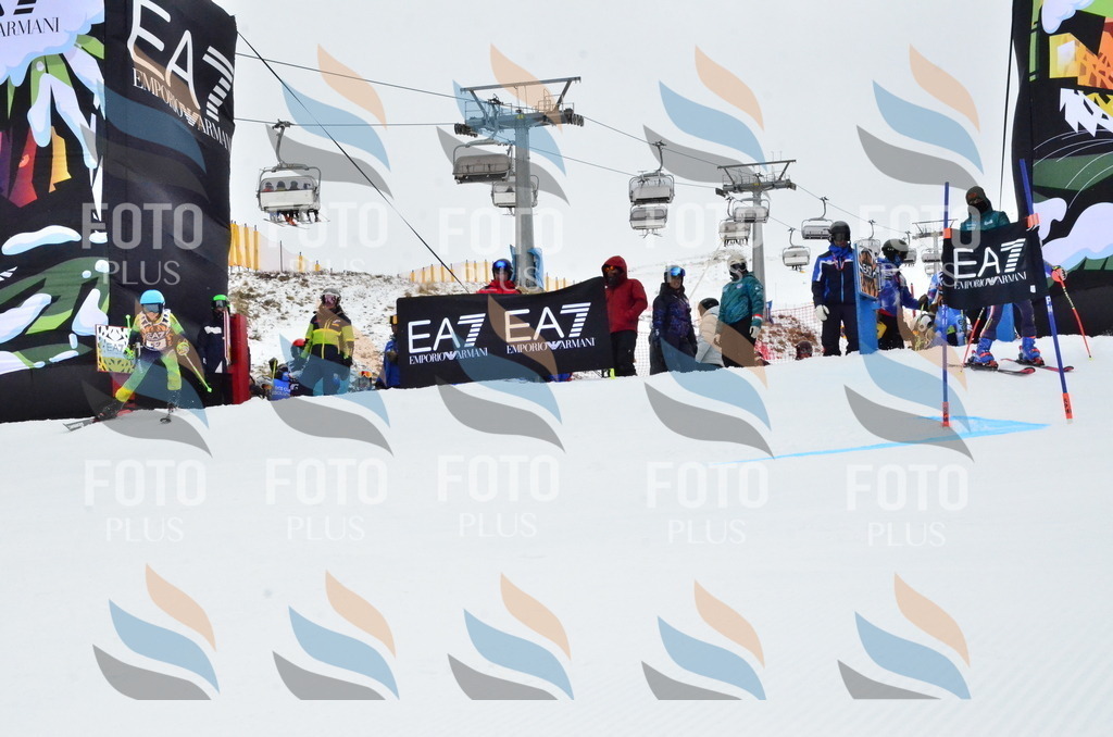 _ELE3427 | holidayphoto