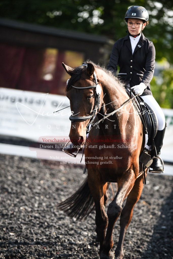 DSC_3289 | Pferde- und Turnierfotografie in Westsachsen. Pferdeportraits, Auftragszeichnungen und intuitive Kunst.