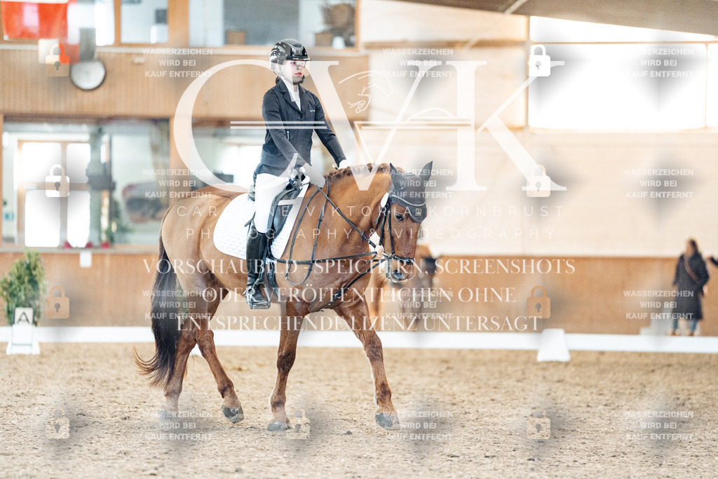 CK907725 | Turnierfotografie Pferdefotografie Trier Rheinland-Pfalz Pferdesport Reitsport Tierfotografie Sportfotografie Pferdevideo Pferdevideografie Equestrianvideography equestrianphotography  - Realisiert mit Pictrs.com