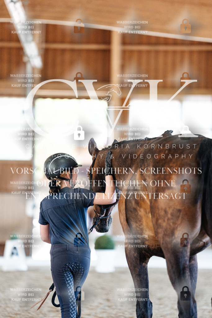 CK906492 | Turnierfotografie Pferdefotografie Trier Rheinland-Pfalz Pferdesport Reitsport Tierfotografie Sportfotografie Pferdevideo Pferdevideografie Equestrianvideography equestrianphotography  - Realisiert mit Pictrs.com