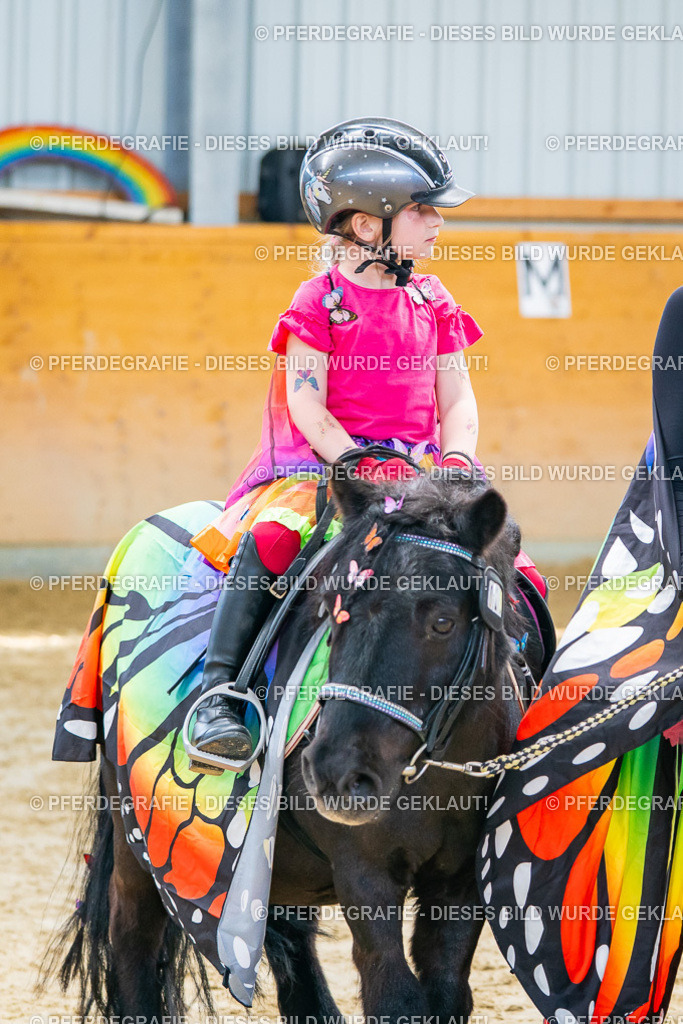 DSC00589 | Pferdegrafie