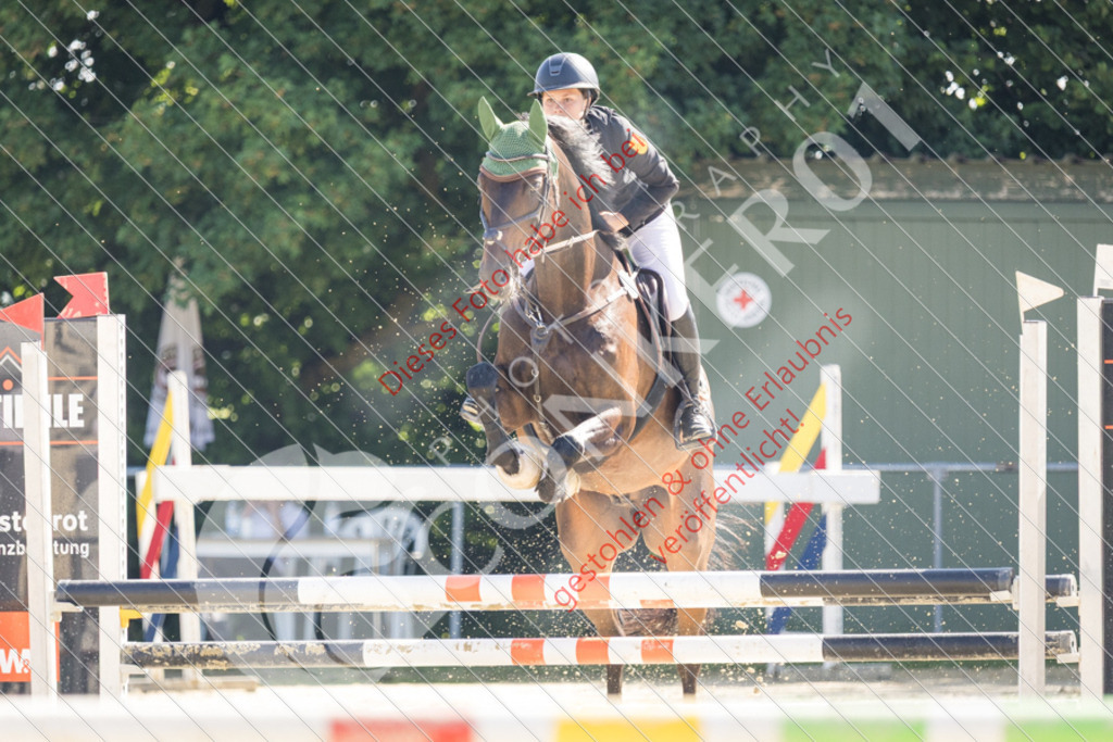 IMG_2883 | Sport-, Event- und Tierfotos in Profiqualität. Einfach auswählen, bestellen und herunterladen. Dein Moment – perfekt festgehalten.