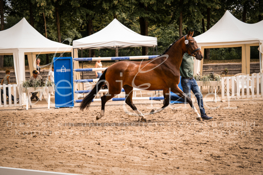 6.Fr00088 | Leoni Ertmer Photography - Realisiert mit Pictrs.com