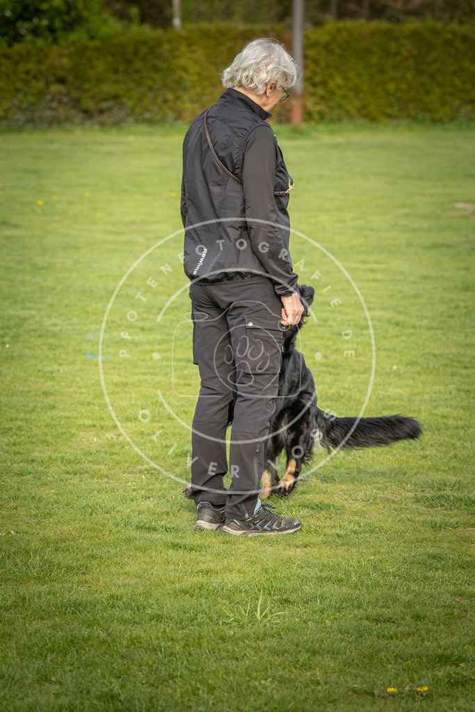 Pfotenfotografie_DV3A4869 | Hundefotografie, Tierfotograf, Pfotenfotografie, Fotoshooting Hund, Hunde Portrait, Hundesport, Hundeportraits, Heideshooting, Hunde, Sportfotograf, Hundefotograf, Turnierhundsport, THS,  - Realisiert mit Pictrs.com