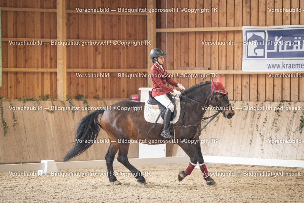 _D5A5539 | Emotionale Pferde- & People-Fotografie rund um Heidelberg, Leimen & Umgebung. Natürliche Fotos von Pferd, Mensch & Familie. Jetzt Termin sichern!