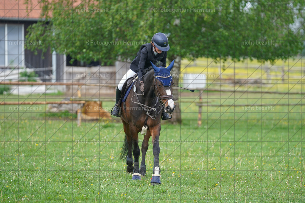 20240509-FAH02125 | Turnierbilder der Turnierfotografen Bayern, Pferdesport Fotografie, Reitsportbilder, Turnier Landberg am Lech, Turnierbilder bayern, Fotoagentur Herrmann