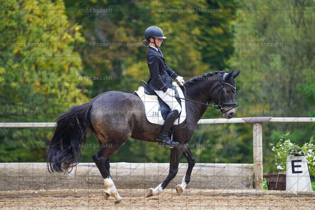20221008-FAH00929 | Diessen am Ammersee, 2022, Dressur- und Springturnier, Reitsportbilder, Turnierfotografen Bayern, Pferdefotografen, Fotoagentur Herrmann, Turnierbilder