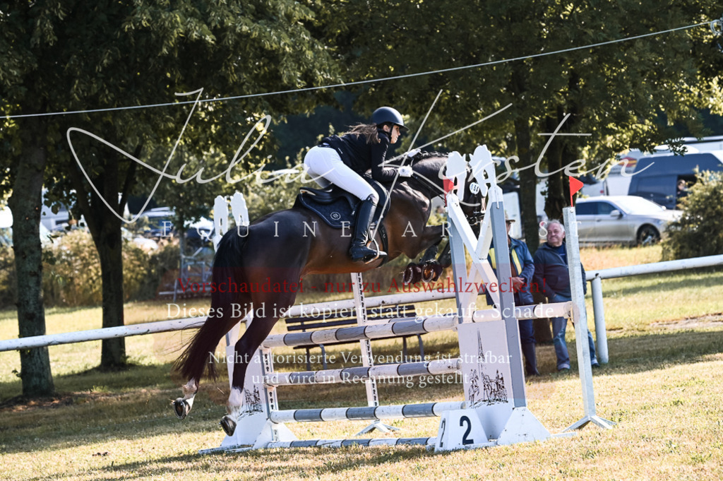 DSC_7581 | Pferde- und Turnierfotografie in Westsachsen. Pferdeportraits, Auftragszeichnungen und intuitive Kunst.