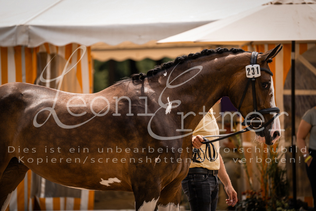 3.Fr00192 | Leoni Ertmer Photography - Realisiert mit Pictrs.com