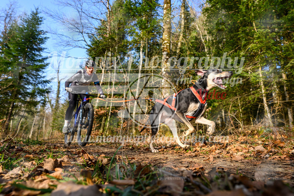 MompixPhotography_6ReiatRennen2026_SO_WW-40 | PayLife