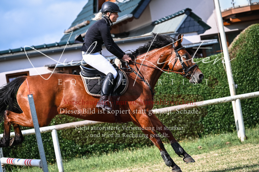 DSC_7817 | Pferde- und Turnierfotografie in Westsachsen. Pferdeportraits, Auftragszeichnungen und intuitive Kunst.