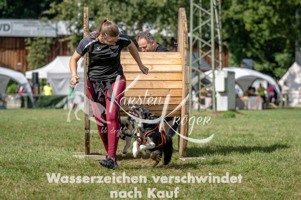 1136_ZZ90826 | kk-dogfotos