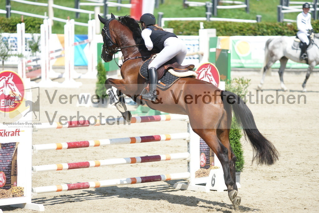 DSC05820 | equestrian-live-com