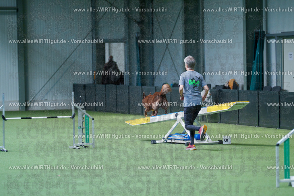 @allesWIRTHgut_Tierfotografie - www.allesWIRTHgut.de - 2604261518-7R505163 | Professionelle Tierfotografie in Mönchengladbach von Daniel Wirth (allesWIRTHgut). Liebevolle & natürliche Bilder von Hunden & Katzen für unvergessliche Erinnerungen.