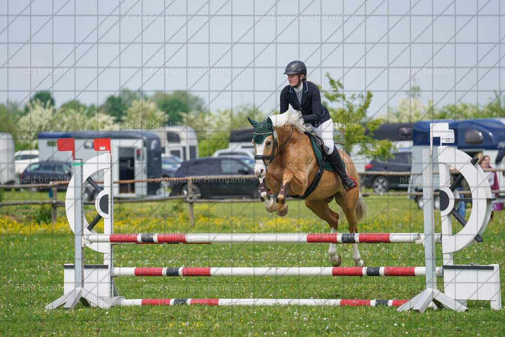 20240509-FAH02771 | Turnierbilder der Turnierfotografen Bayern, Pferdesport Fotografie, Reitsportbilder, Turnier Landberg am Lech, Turnierbilder bayern, Fotoagentur Herrmann