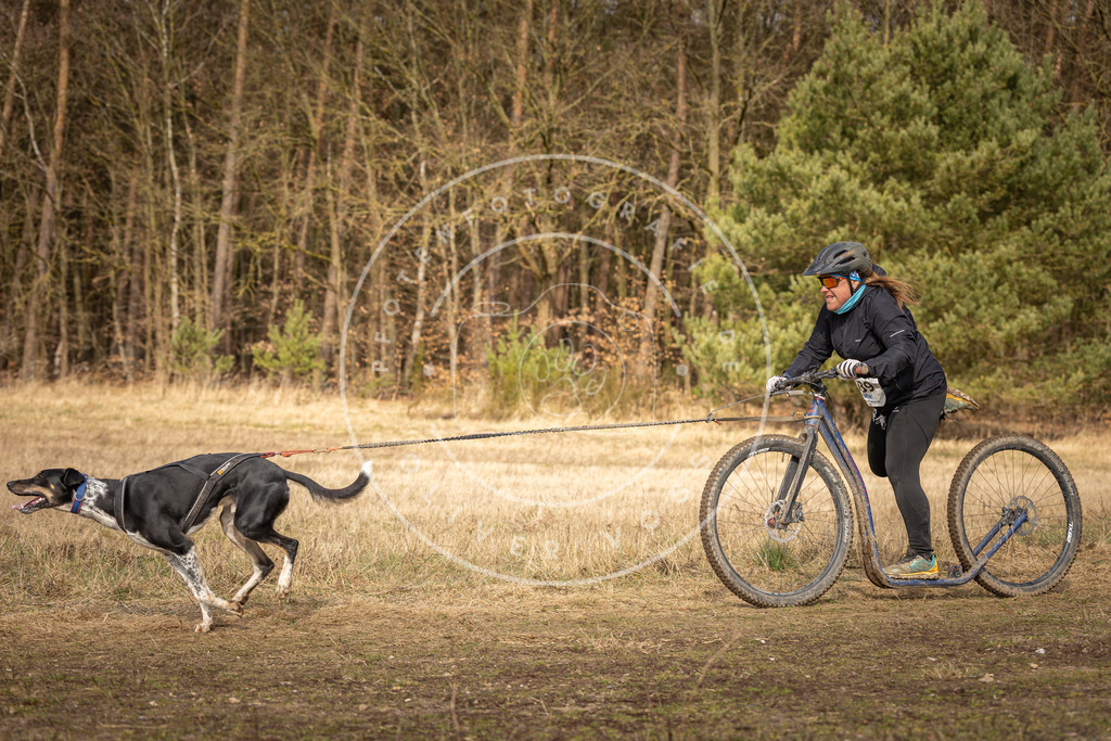 DV3A4748 | Hundefotografie, Tierfotograf, Pfotenfotografie, Fotoshooting Hund, Hunde Portrait, Hundesport, Hundeportraits, Heideshooting, Hunde, Sportfotograf, Hundefotograf, Turnierhundsport, THS,  - Realisiert mit Pictrs.com