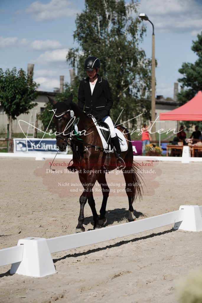 DSC_0233 | Pferde- und Turnierfotografie in Westsachsen. Pferdeportraits, Auftragszeichnungen und intuitive Kunst.