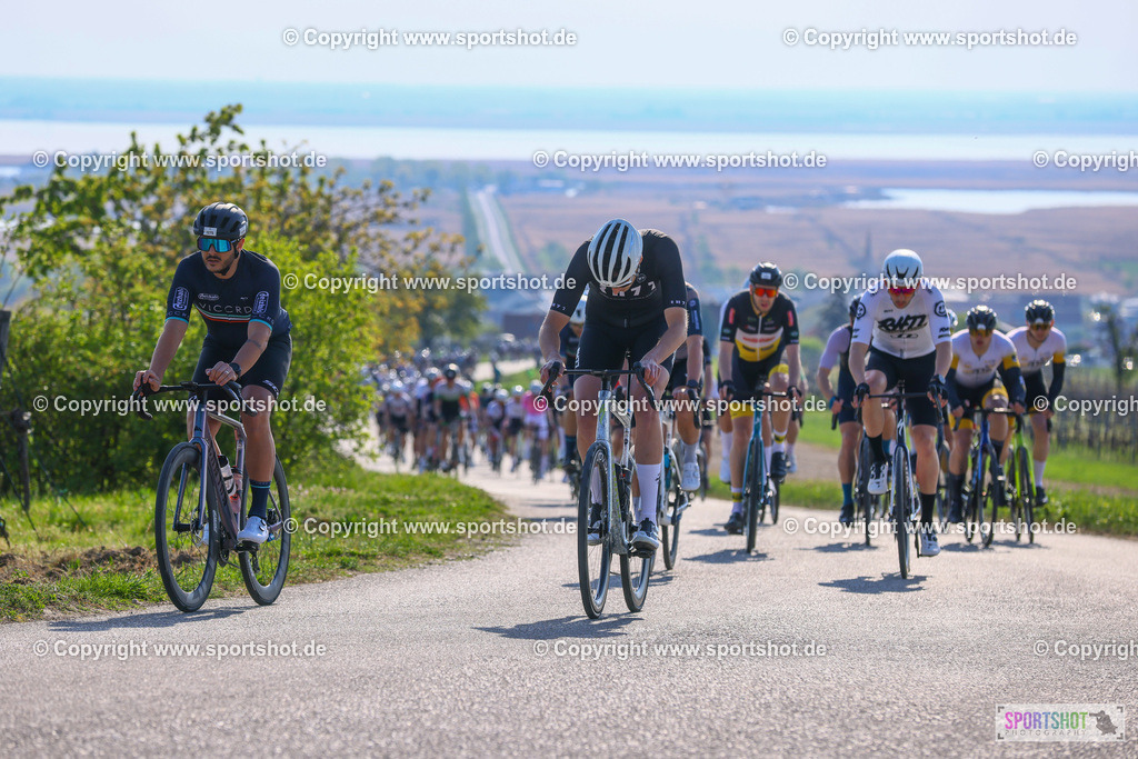TRA_0103 | Neusiedlersee Radmarathon 2026@sportshot_your_pictrs #yourpictures#roadtowm2029 #nrm #neusiedlerseeradmarathon #neusiedlersee #neusiedlerseetourismus #burgenland #mörbisch #nrm26 #burgenlandtourismus #voglundco #poweredbyburgenlandtourismus #radsport #rad #marathon #ucigranfondo #visitburgenland #ucigranfondoworldseries