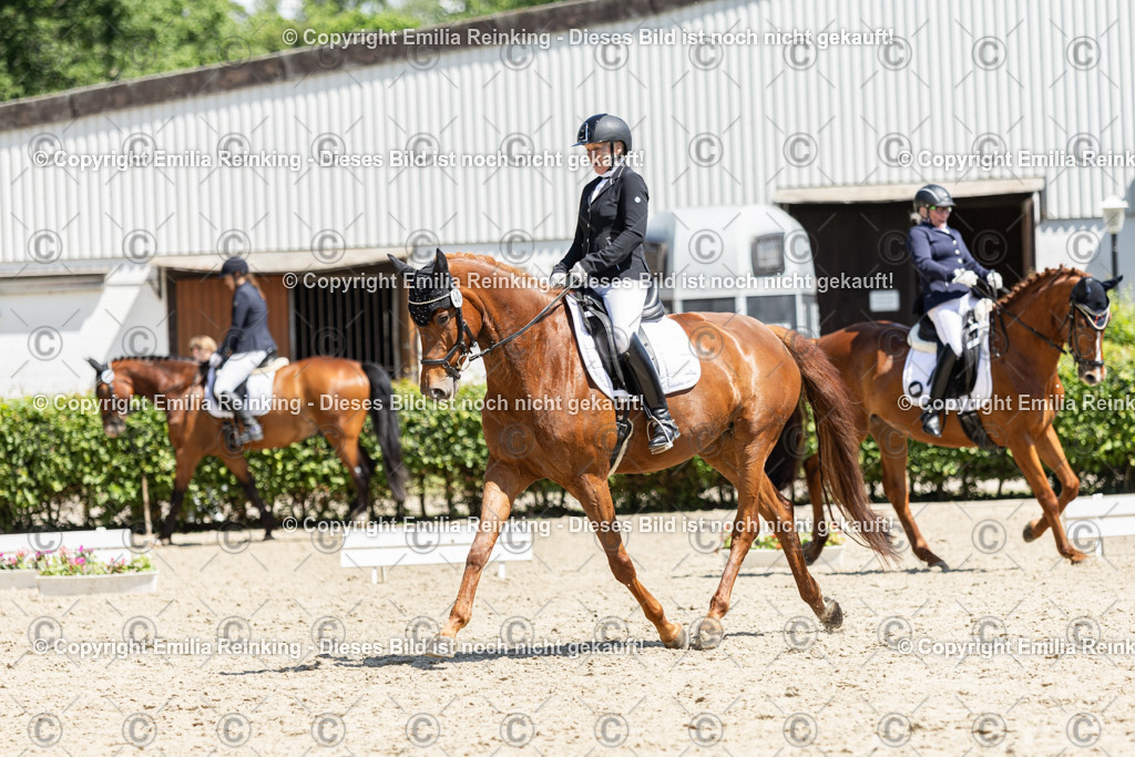 CL5A0028 | Emilia Reinking Fotografie - Realisiert mit Pictrs.com