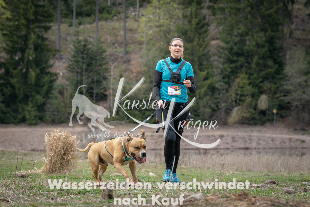 1833_ZZ99297 | kk-dogfotos