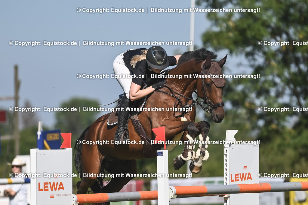 20230908_24_Springen_M_0028 | equistock