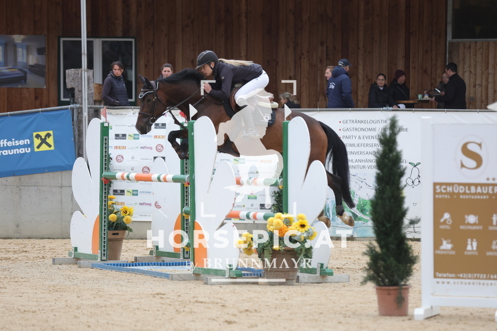 0P6A3175 | Willkommen bei Brunnmayr - Design & Fotografie – Ihrem Spezialisten für Reitturniere und Pferdeveranstaltungen in Oberösterreich, Salzburg und Bayern! Seit über 17 Jahren sind wir leidenschaftlich dabei.