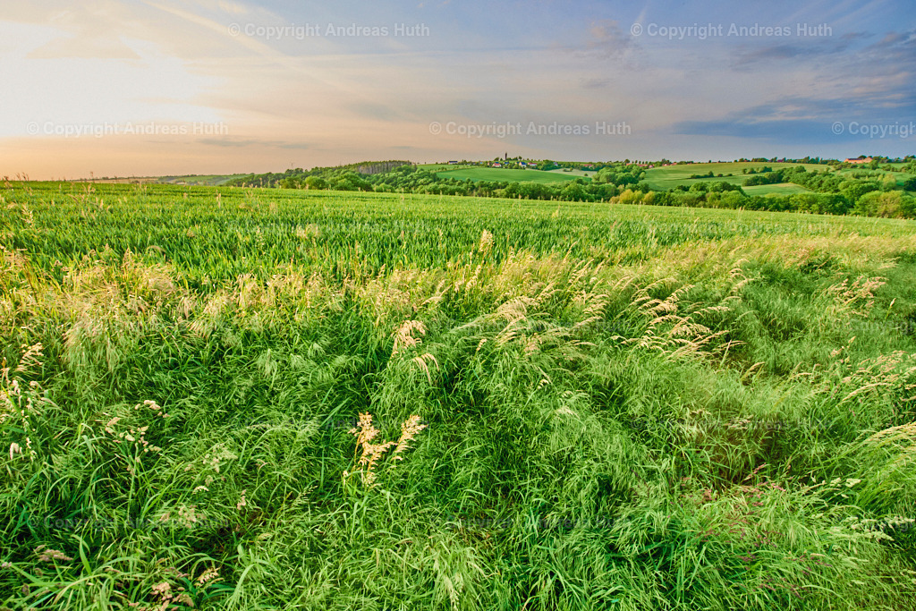 Blick in Richtung Tal der Kleinen Triebisch zwischen Kettewitz und Kobitzsch  01 | Bedeutsame Landschaften Deutschlands - Realisiert mit Pictrs.com
