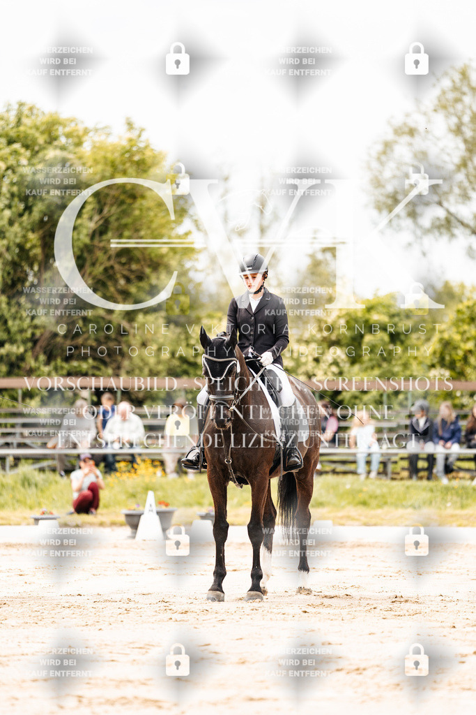 CK902748 | Turnierfotografie Pferdefotografie Trier Rheinland-Pfalz Pferdesport Reitsport Tierfotografie Sportfotografie Pferdevideo Pferdevideografie Equestrianvideography equestrianphotography  - Realisiert mit Pictrs.com