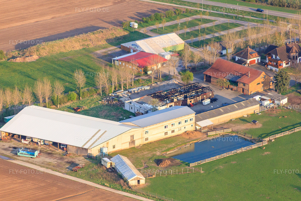 Luftbild: Adamshof, nach dem Brand in der Ostereiermalhalle in Kandel im Bundesland Rheinland-Pfalz in Deutschland. Foto: IMG_49918.jpg vom 13.04.2012 durch Werner Riehm/FLY-FOTO.de
