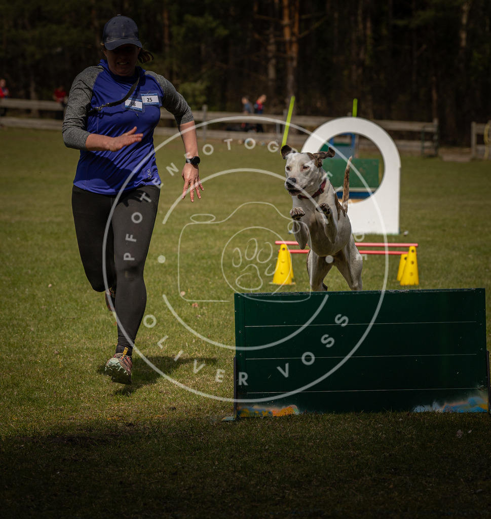 Pfotenfotografie_DV3A5597 | Hundefotografie, Tierfotograf, Pfotenfotografie, Fotoshooting Hund, Hunde Portrait, Hundesport, Hundeportraits, Heideshooting, Hunde, Sportfotograf, Hundefotograf, Turnierhundsport, THS,  - Realisiert mit Pictrs.com