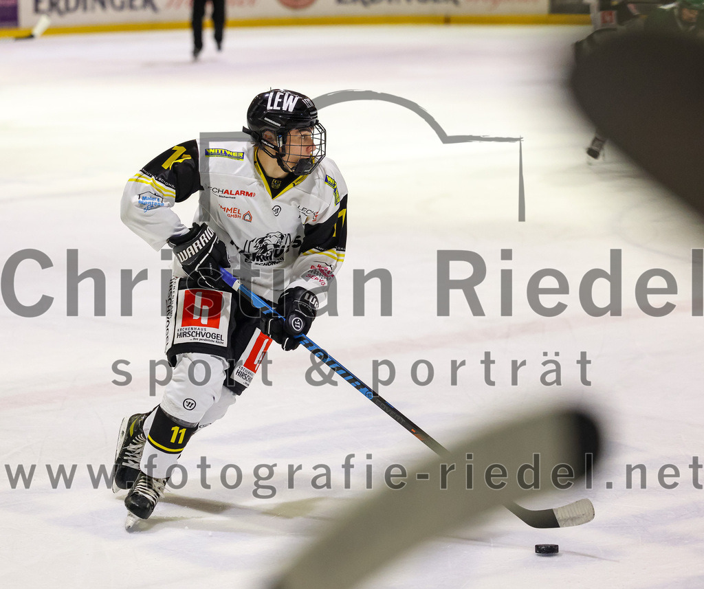 2023-11-17_010_TSV_Erding_gegen_EA_Schongau | Erding, Deutschland, 17.11.2023:
Eishockey, Bayernliga Vorrunde 2023 / 2024, 10. Spieltag, TSV Erding gegen EA Schongau, Endergebnis: 12:4

Maximilian Weber (EA Schongau, #11)

Foto: Christian Riedel / fotografie-riedel.net
