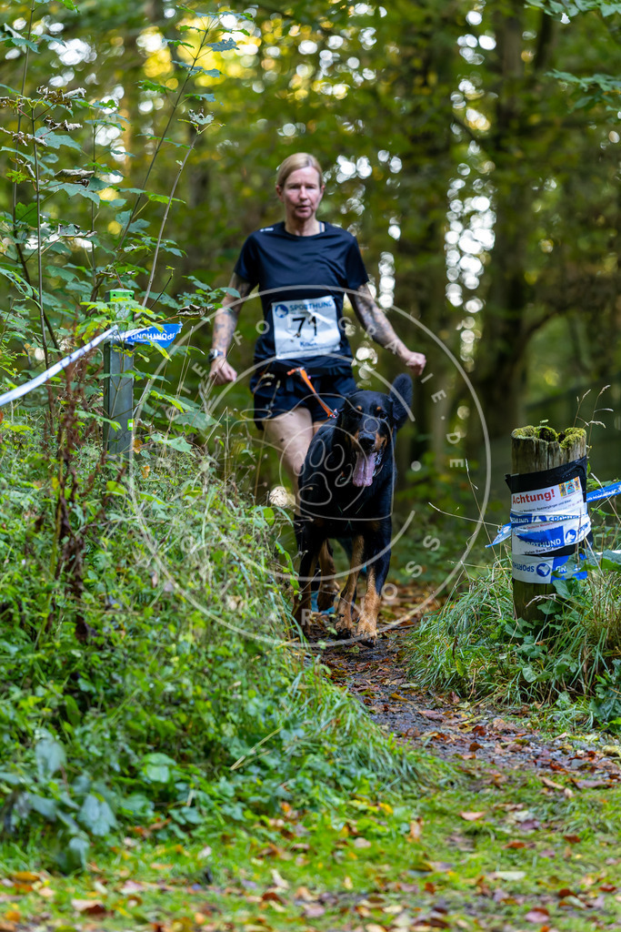 Pfotenfotografie_DV3A7363 | Hundefotografie, Tierfotograf, Pfotenfotografie, Fotoshooting Hund, Hunde Portrait, Hundesport, Hundeportraits, Heideshooting, Hunde, Sportfotograf, Hundefotograf, Turnierhundsport, THS,  - Realisiert mit Pictrs.com