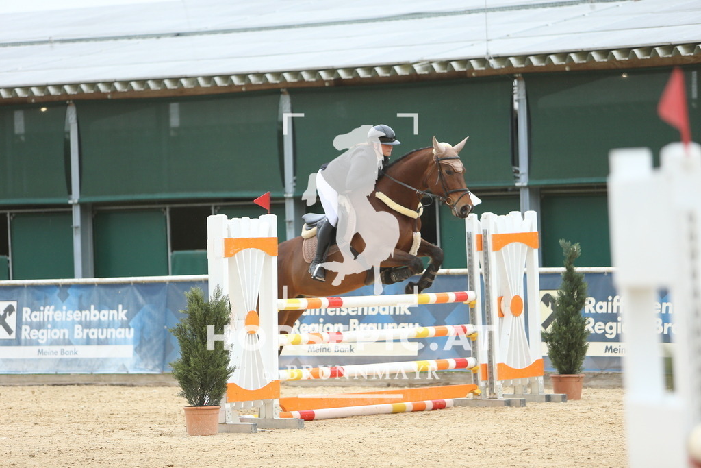 DL2Q6852 | Willkommen bei Brunnmayr - Design & Fotografie – Ihrem Spezialisten für Reitturniere und Pferdeveranstaltungen in Oberösterreich, Salzburg und Bayern! Seit über 17 Jahren sind wir leidenschaftlich dabei.